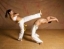 Capoeira