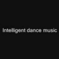  IDM (inteligent dance music)