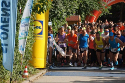 Saguaro Run Fest – Bratislava polmaratón 2014 23-02-15