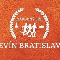 logo_devin_ba logo_devin_ba